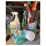 BUBBLE WANDS AND TRIAZICIDER INSECT KILLER AND