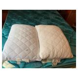 TWO COOL TOUCH PILLOWS