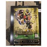 TROY POLAMALU NFL PLAQUE 10.5X13