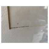 WHITE- CROWNED PIGEON J.J. AUDUBON FRAMED PRINT