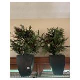 PLANTERS W/ GREENS AND BERRIES