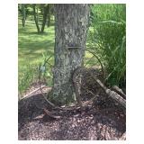 23" RUSTY WHEEL, VINTAGE FARM TOOL GARDEN Dï¿½COR