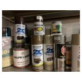 PAINTS AND SPRAY PAINTS