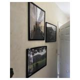 FRAMED PHOTOS OF COUNTRYSIDE
