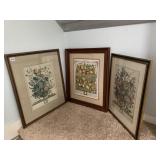 3 BOTANICA PRINTS