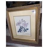 BLUSH DAMASK ROSE PRINT IN FRAME