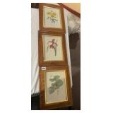 2 FRAMES W/ PRINTS BURLED WOOD FRAMES