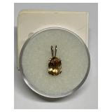 PRECIOUS TOPAZ 1.00CT IN STERLING SILVER SETTING