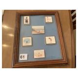 SHADOW BOX FILLED WITH P. BUCKLEY MOSS PIECES