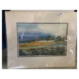 WATERCOLORIST - CAROL-SUE DUCKSTEIN