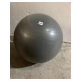 WEIGHTED EXERCISE BALL