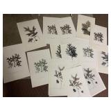 AUTUMN LEAF PRINTS, 18X12, READY TO FRAME