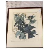 BOTANICAL FRAMED PRINT WATER DAMAGE ON MAT