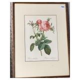 BOTANICAL FRAMED PRINT