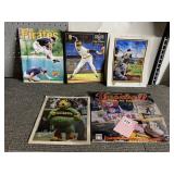 PITTSBURGH PIRATES PARROT HEAD SHOT, BASEBALL