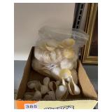 GREAT VARIETY OF SEASHELLS