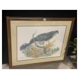FRAMED PRINT OF GOSHAWK SIGNED 33"W X 27.5"H