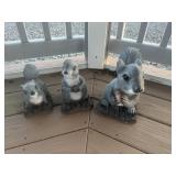 CEMENT FAMILY OF SQUIRRELS