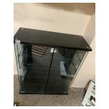 2 DOOR GLASS FRONT CABINET 28" H X 24" W X 9.5" H