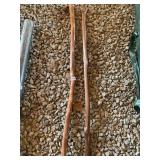 TWO WALKING STICK