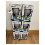 LED 6 BULBS