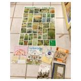 ORNAMENTAL GRASSES POSTERS, BOOKS