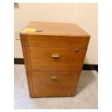 LOCKING 2 DRAWER FILE CABINET WITH KEYS