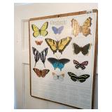 MOUNTED ON PLYWOOD, ORGANIC GARDENING BUTTERFLY