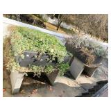 2 RAISED GARDEN PLANTERS INCLUDING CINDER BLOCK