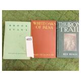 THE IRON TRAIL AN ALASKAN ROMANCE BY REX BEACH,