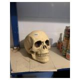LARGE FOAM HALLOWEEN SKULL DECORATION