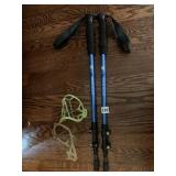 SIERRA DESIGN WALKING POLES