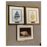 THREE SHELL PRINTS 1986 CALTAGIRONE