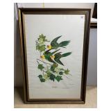 JOHN RUTHVEN SIGNED HAND COLORED CARALINA