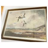 3 DRAKE PIN TAILS IN FLIGHT 13" X 17"