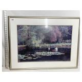27X35 FRAMED AND MATTED PRINT OF SWANS ON LAKE,