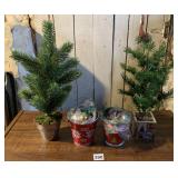 2 SMALL TREES & BULBS