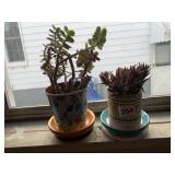 2 SMALL SUCCULENTS