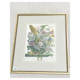 AUGUST BOTANICAL PRINT 25.5" X 21" FRAMED