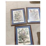 BOTANICALS JANUARY, MAY & AUGUST