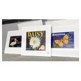 3 FRAMED PIECES, PELICAN PEARL, DAISY, MARI POSE