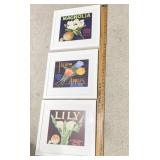 LILY, TULIP, MAGNOLIA FRAMED LABELS