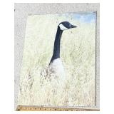 SWAN PICTURE ON METAL