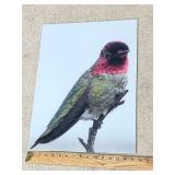 BIRD PICTURE ON METAL