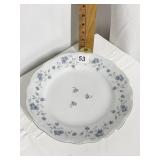 5 JOHNATHON HAVILAND 10" DINNER PLATES NEVER USED