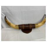 STAG HORNS 38" WIDE