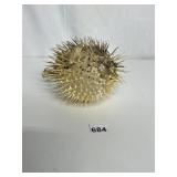 PRESERVED PUFFER FISH