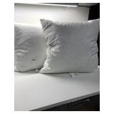 TWO DOWN FILLED PILLOWS 18 BY 18