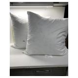 TWO DOWN FILLED PILLOWS