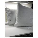 TWO DOWN FILLED PILLOWS 24 X 24